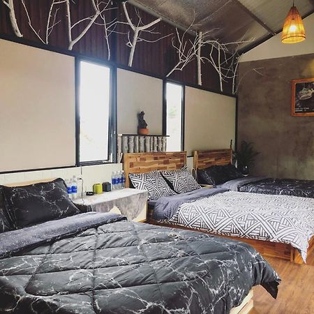 Homestay Bien Rung Gia Nghia Dış mekan fotoğraf