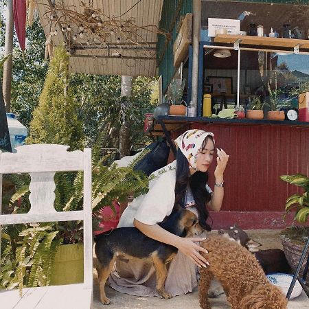 Homestay Bien Rung Gia Nghia Dış mekan fotoğraf