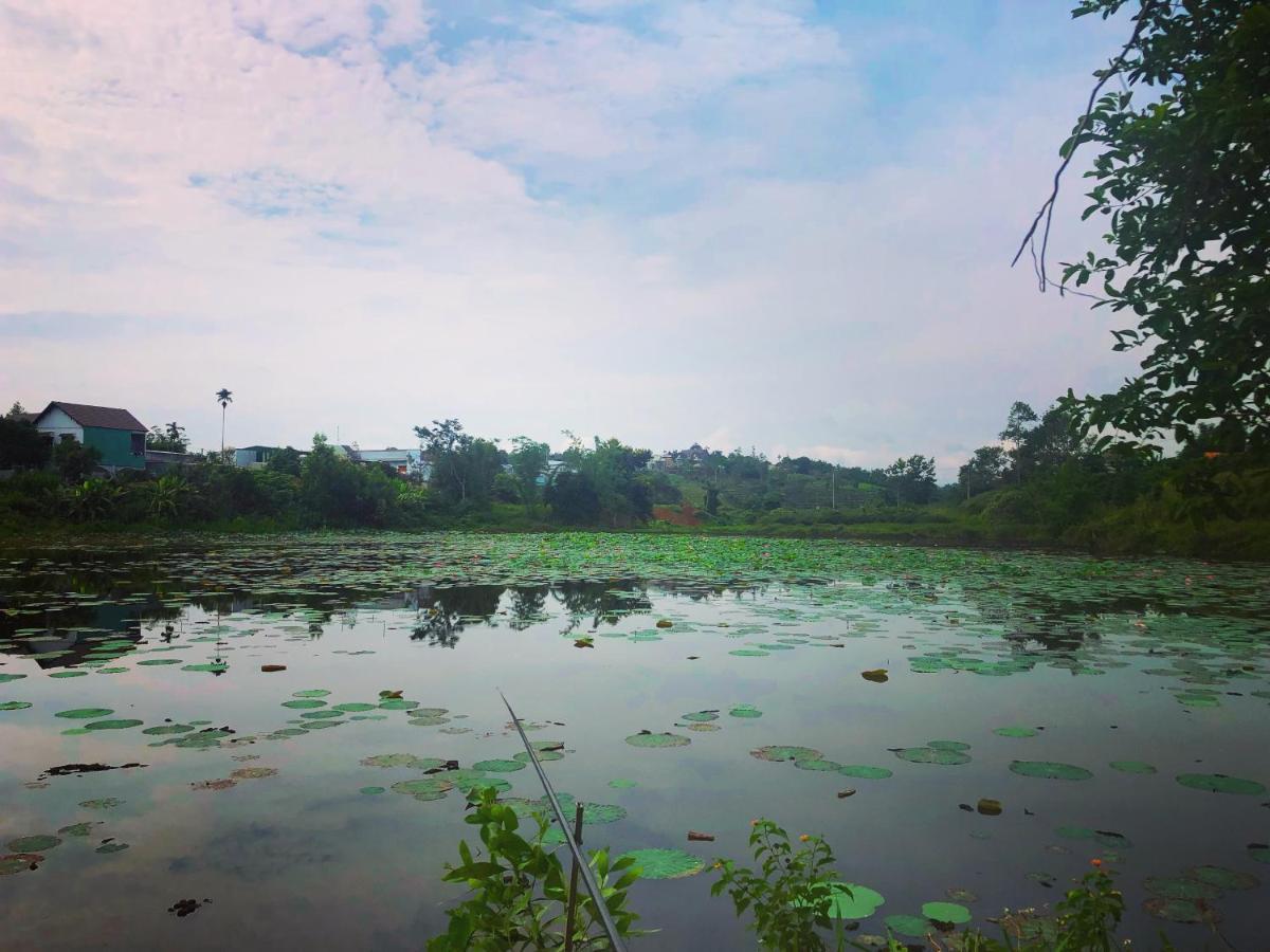 Homestay Bien Rung Gia Nghia Dış mekan fotoğraf