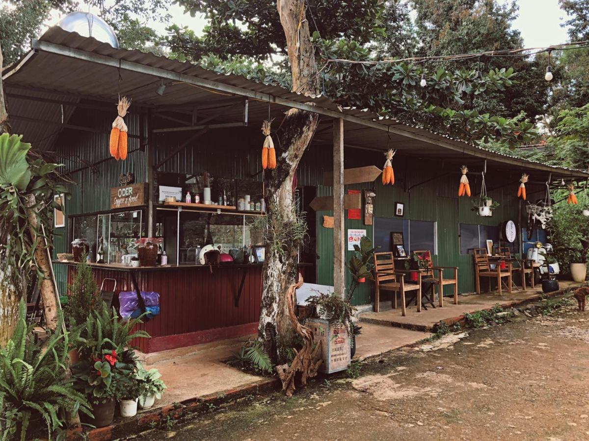 Homestay Bien Rung Gia Nghia Dış mekan fotoğraf