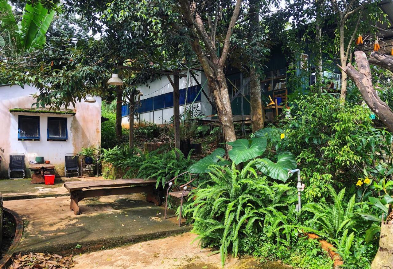 Homestay Bien Rung Gia Nghia Dış mekan fotoğraf