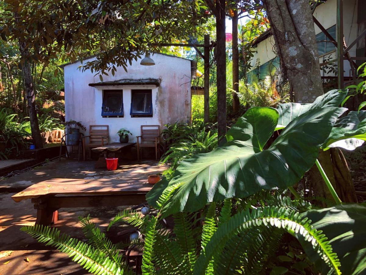 Homestay Bien Rung Gia Nghia Dış mekan fotoğraf