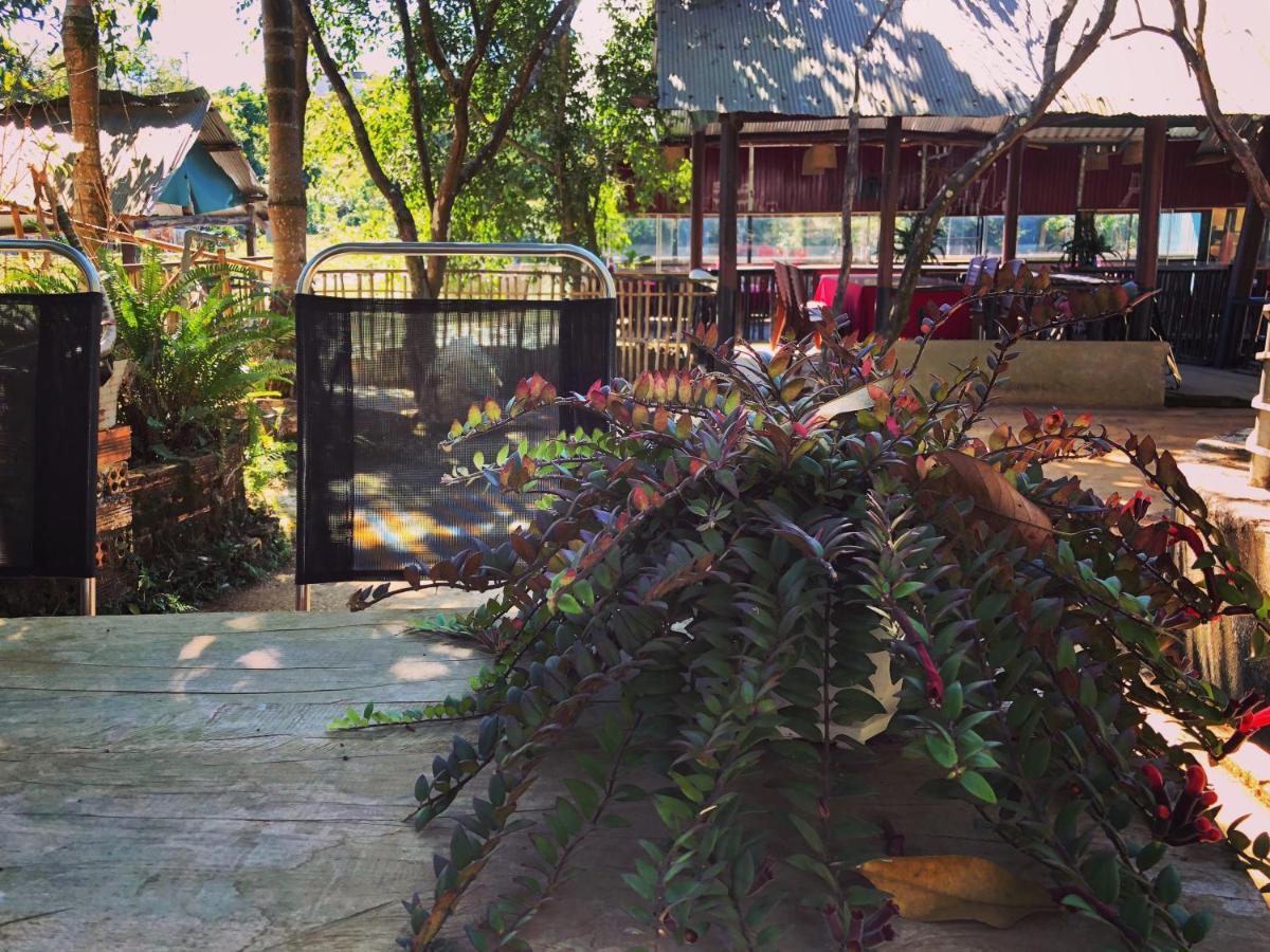 Homestay Bien Rung Gia Nghia Dış mekan fotoğraf