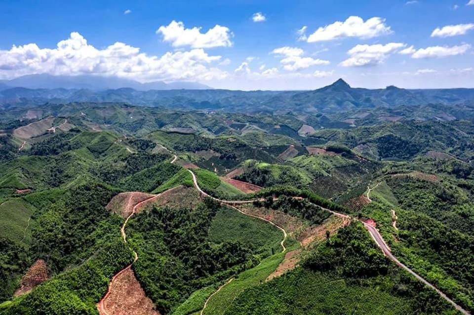 Homestay Bien Rung Gia Nghia Dış mekan fotoğraf